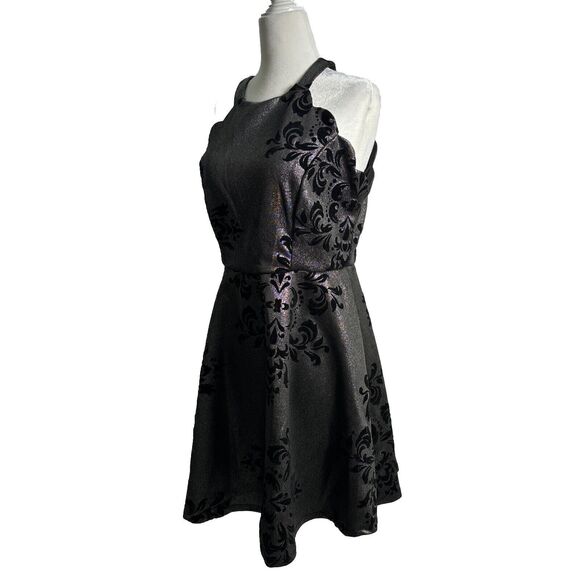 Fairygoth Silver And Black dress Velvet Design Fit and Flare Whimsigoth SZ XL - Picture 4 of 12
